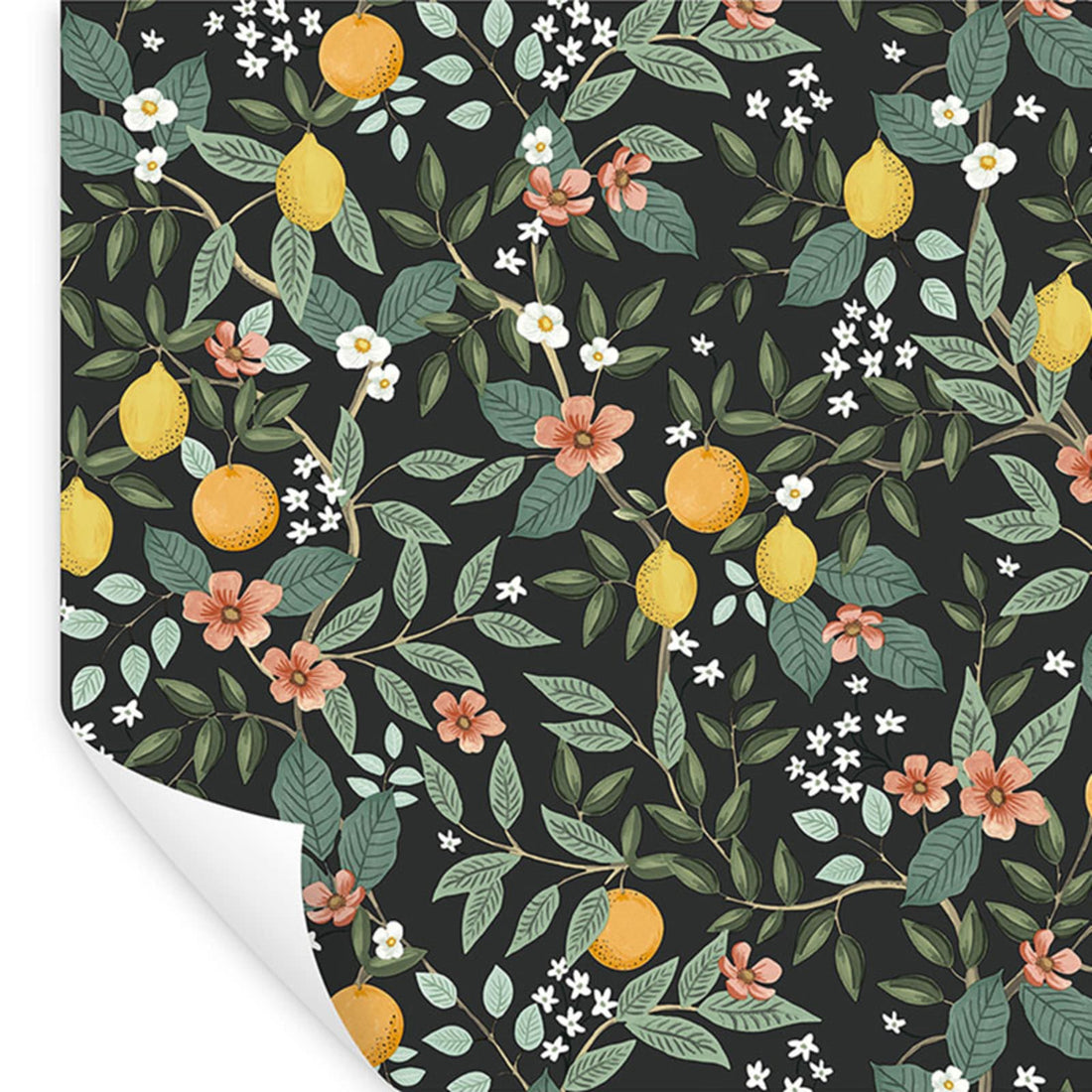 Rifle Paper Co. Citrus Grove Removable Wallpaper