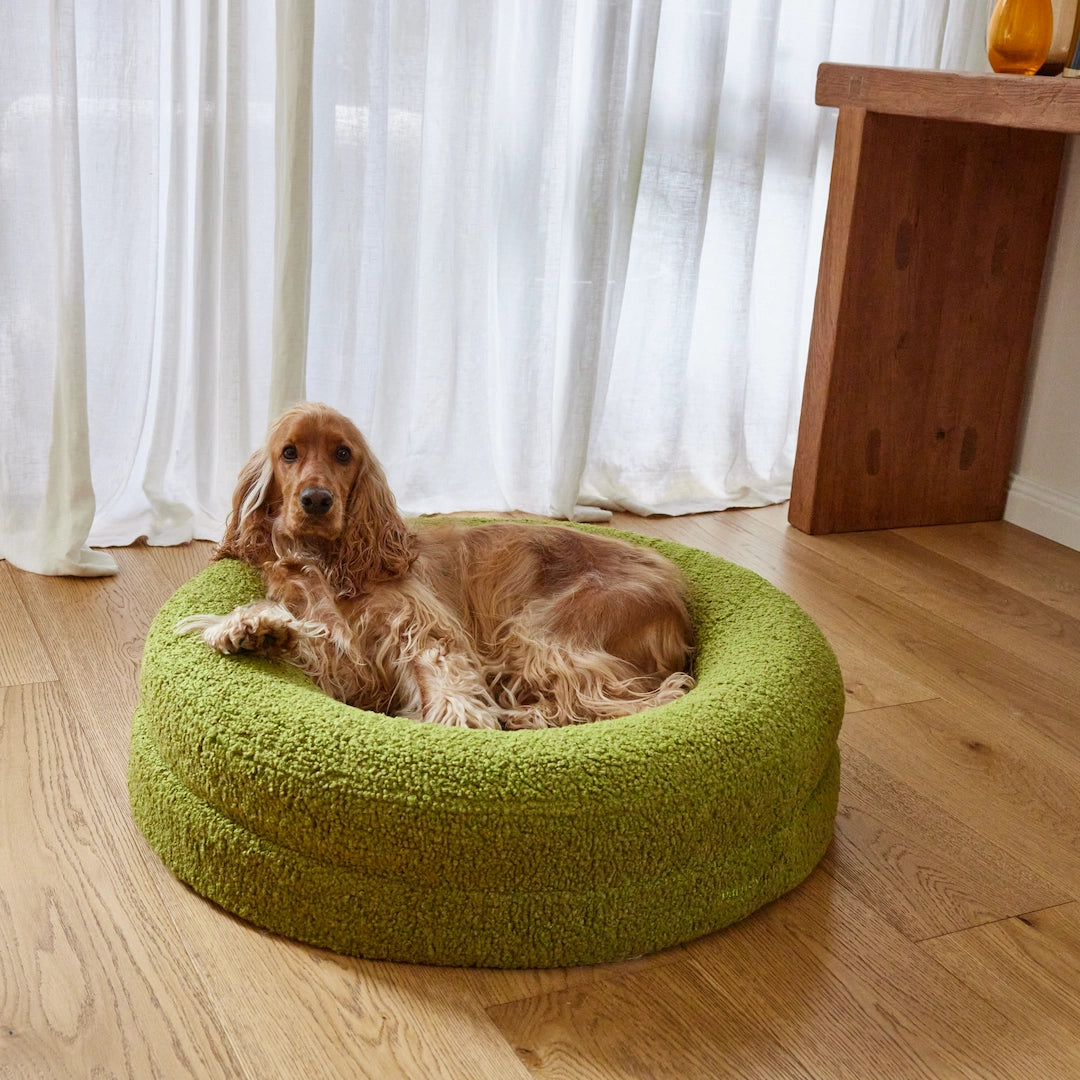 Curl Bed