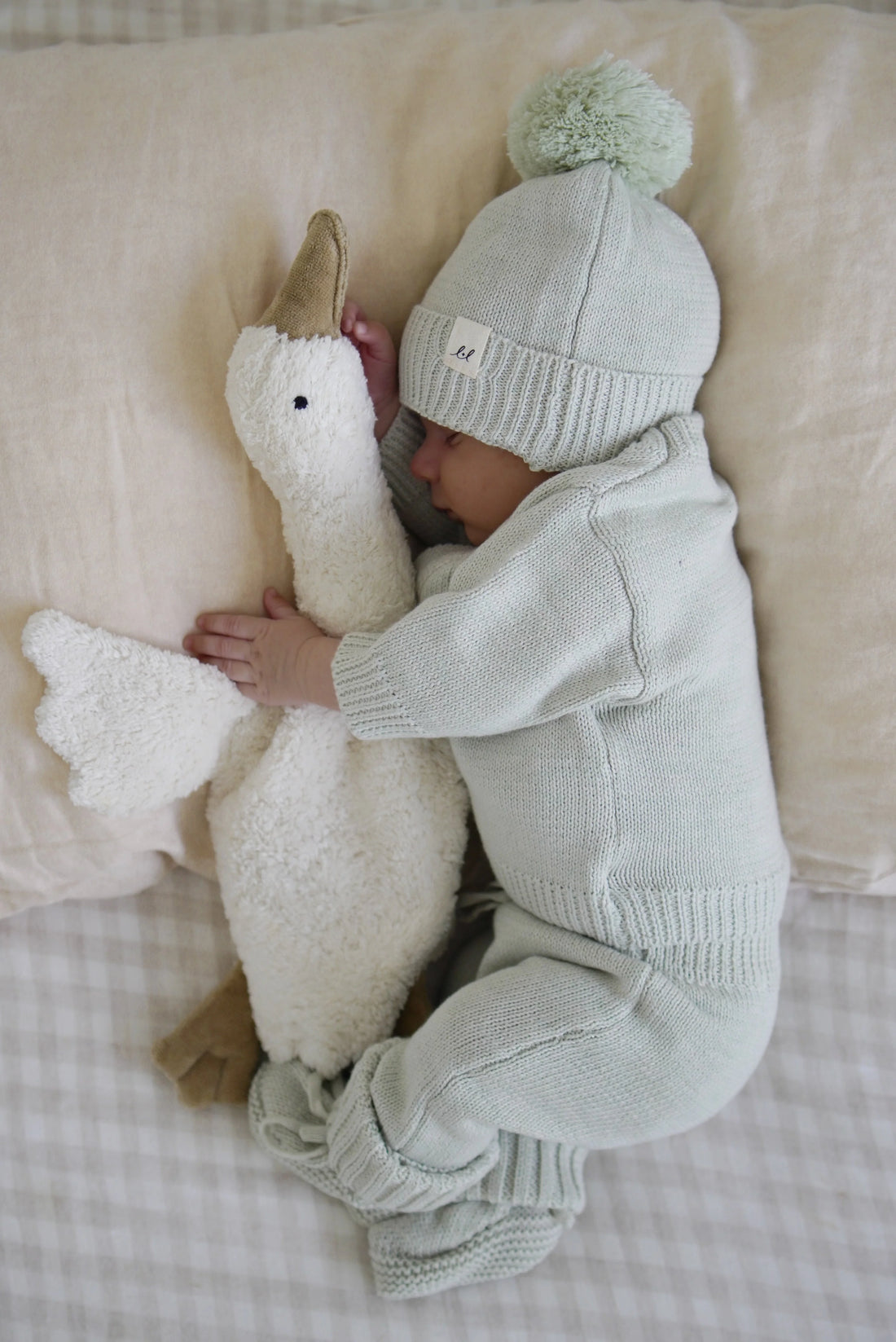 Bring Me Home Rib Bundle | Light Sage