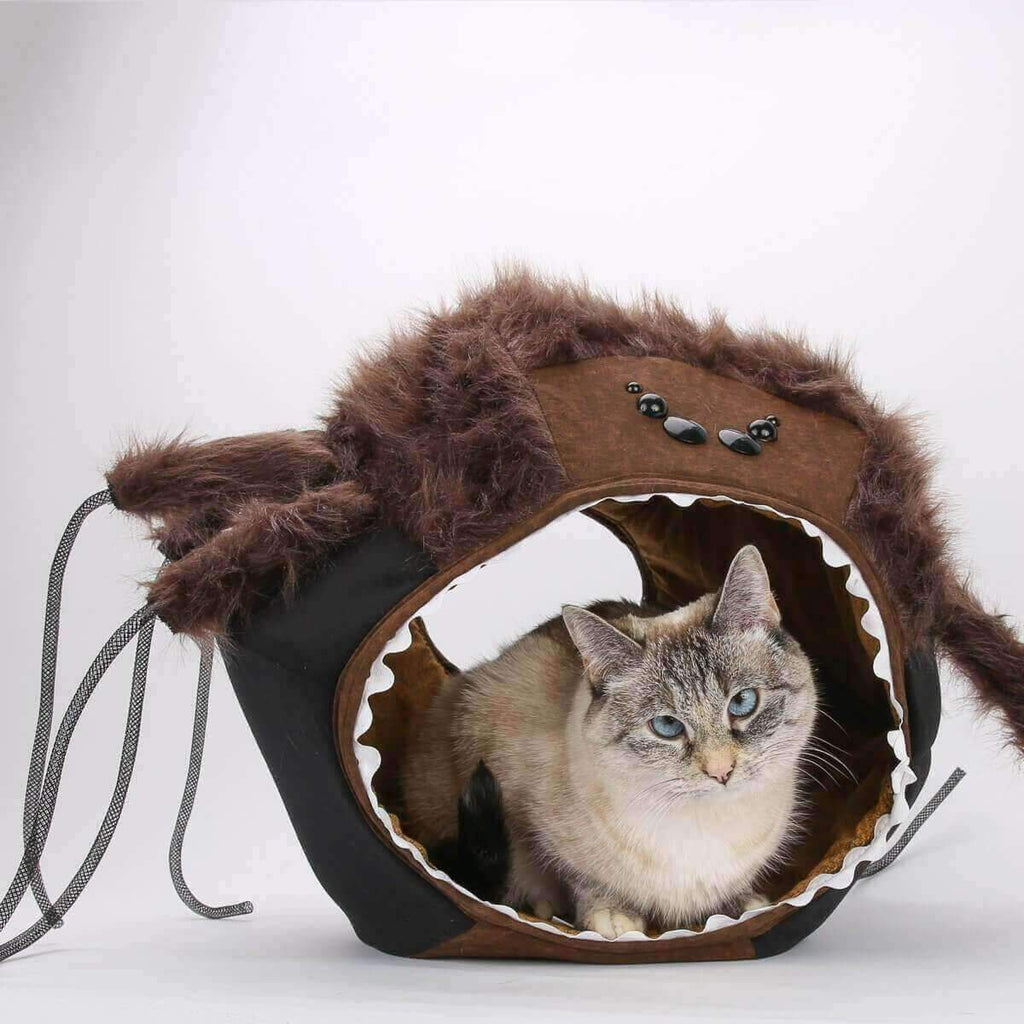 Spider Cat Ball